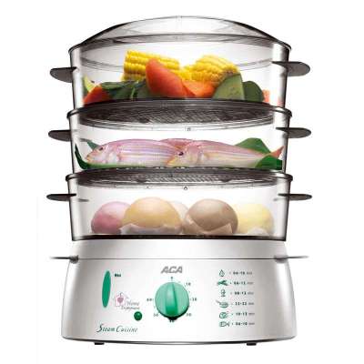 ACA电蒸笼DL-100B2