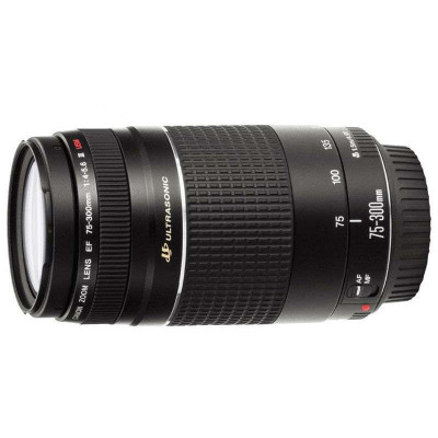 佳能镜头EF 75-300mm f/4-5.6 Ⅲ USM