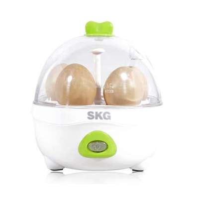 德国SKG煮蛋器ZDQ-501