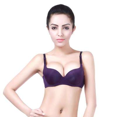 戴安娜 X041ZI10 紫色3/4薄模杯<em>文胸</em> 紫色 <em>85C</em>