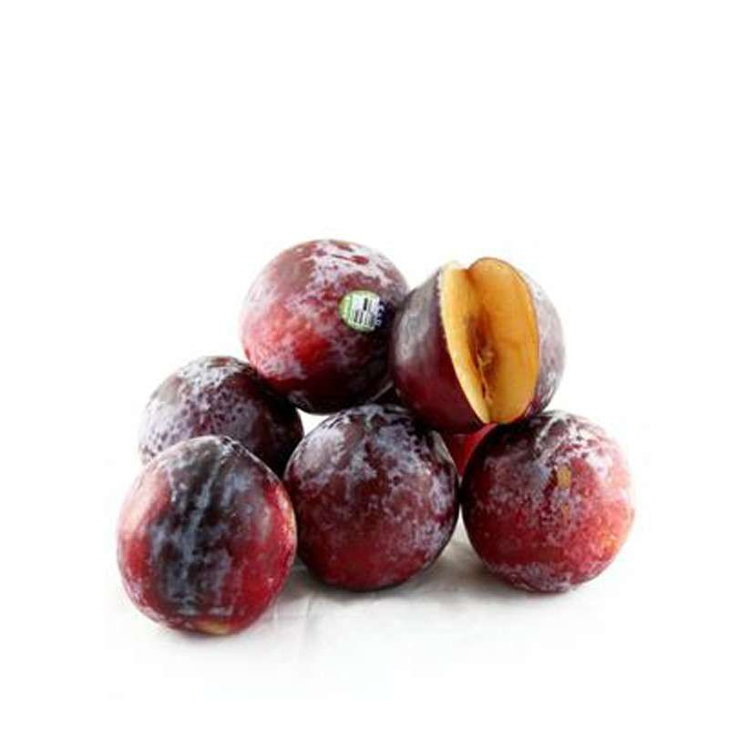 恐龙蛋 美国进口恐龙蛋1个 布林李子 单果约14