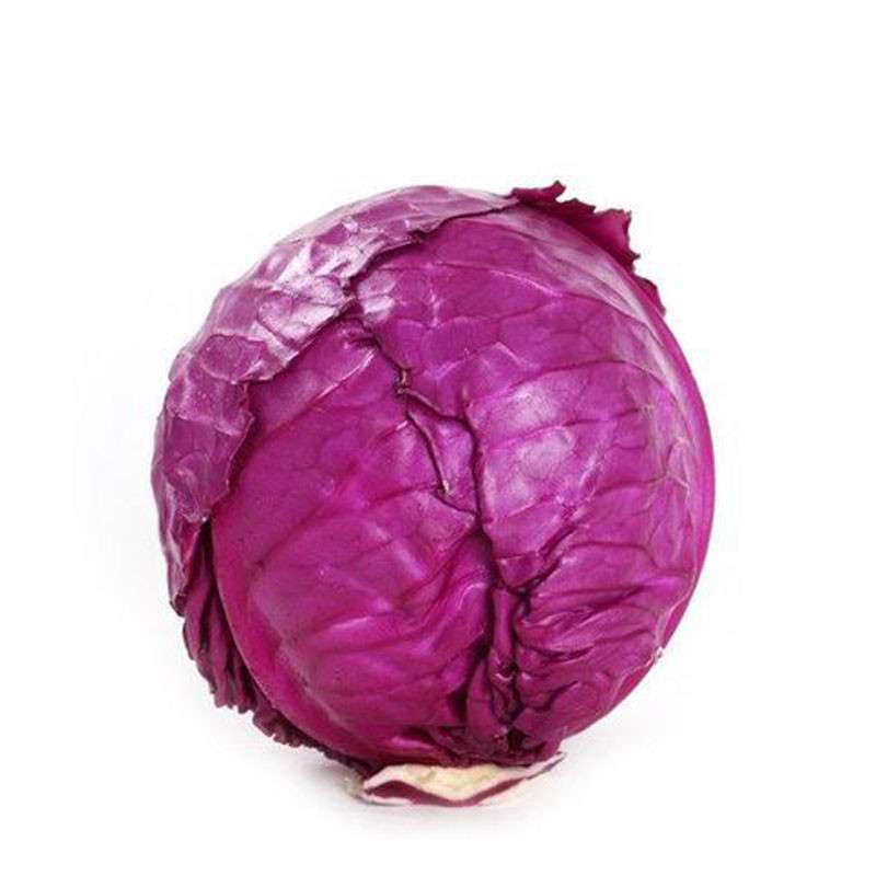 新鲜蔬菜 精品紫甘蓝 1600g装 紫卷心菜 包菜 紫椰菜