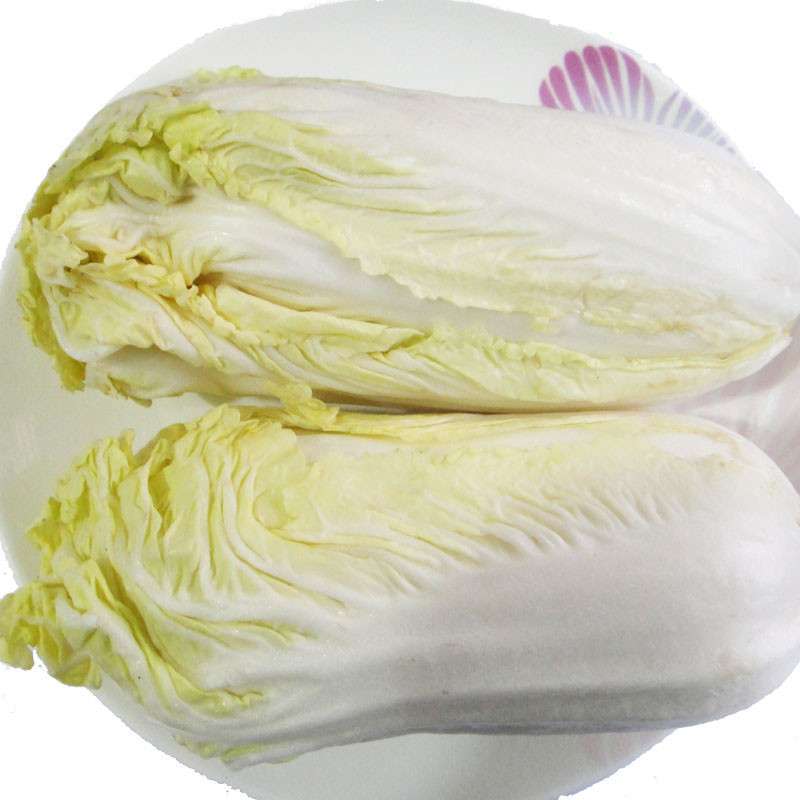 新鲜蔬菜 精品高山娃娃菜 3颗装 微型大白菜 精