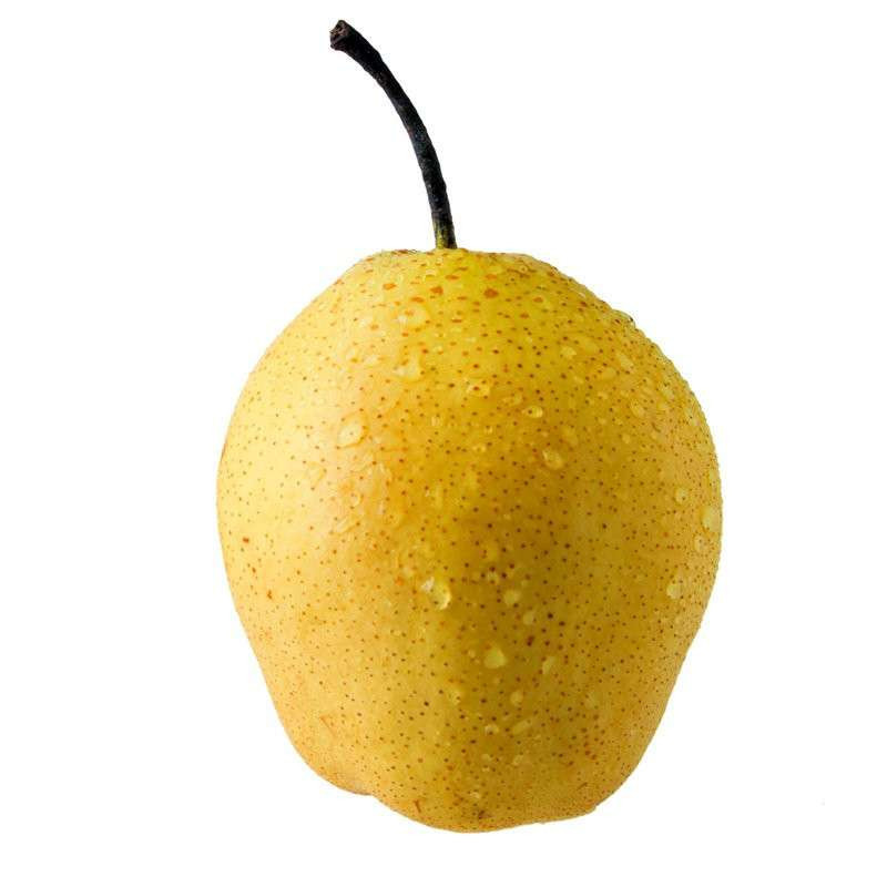 áѩ ӱزԭط ѩż6 
