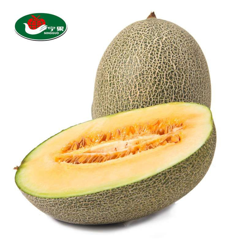 宁果果品 新疆西州蜜3只装 哈密瓜 新鲜水果鲜