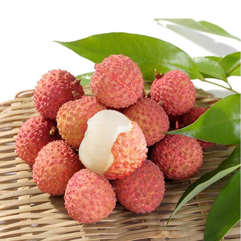 高州根子镇贡园桂味荔枝5斤装【报价