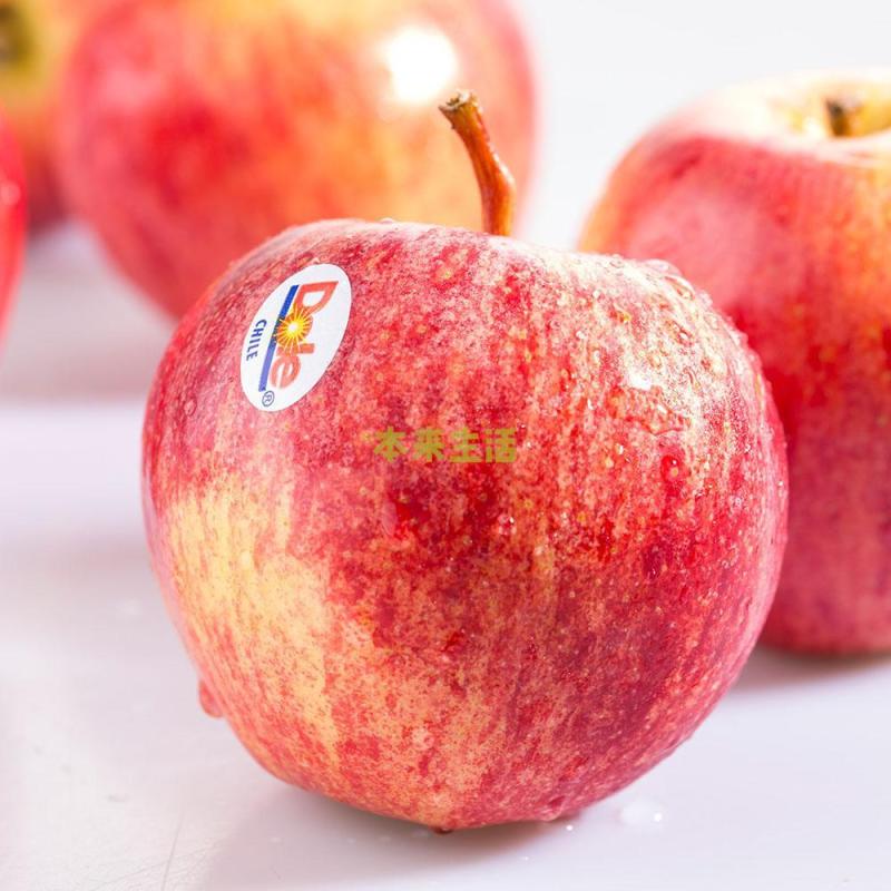 【本来生活】智利加力果 袋装(5个\/袋)(限华南)