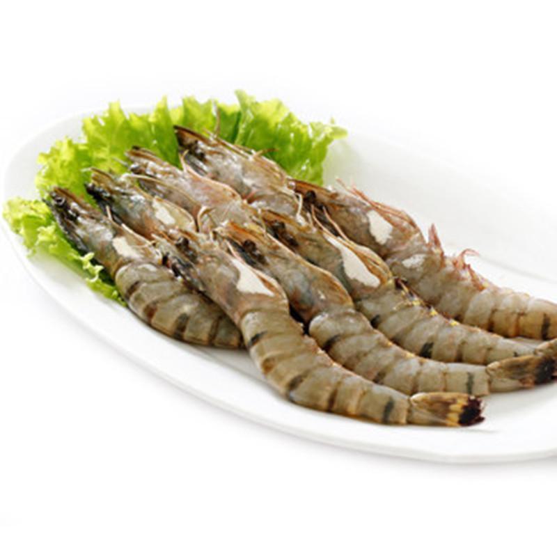 特博】ocean gala冷冻大对虾 青草虾 大草虾 基