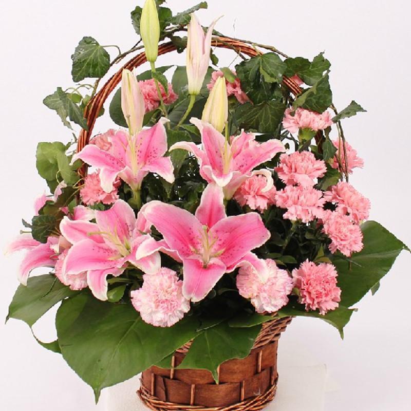 百合花篮_百合花是百合的花吗_粉百合3d彩吧百合