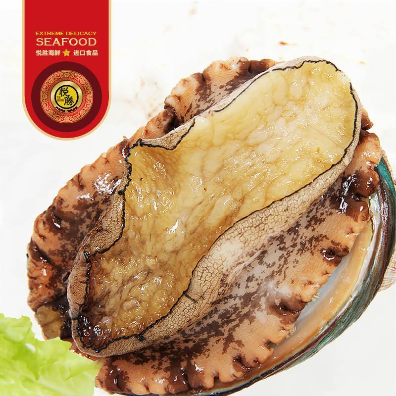 大连冷冻野生新鲜大个鲍鱼5-6只约360g【报价、价格、评测、参数】_海鲜水产_苏宁易购