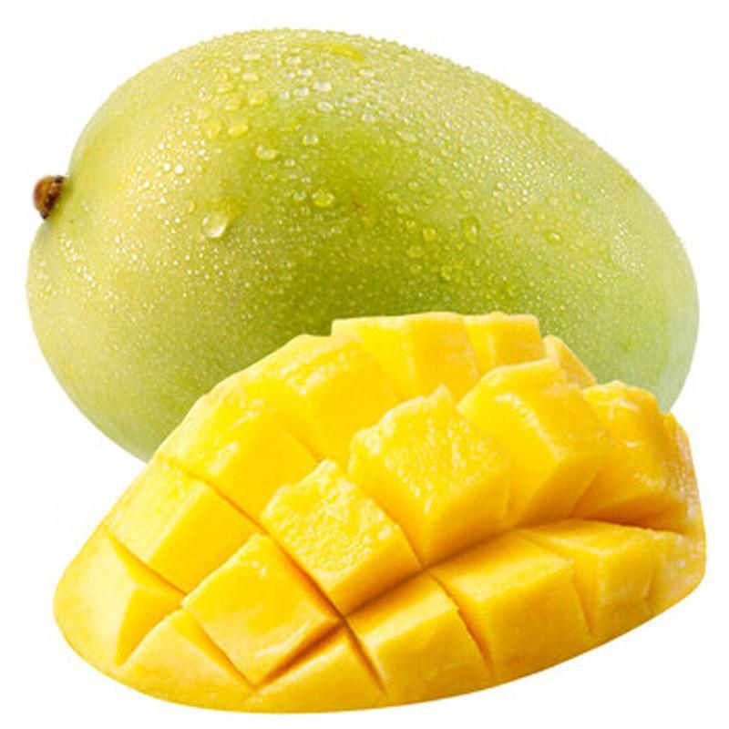 【四季之源时迅农业科技食品】新鲜芒果 凯特
