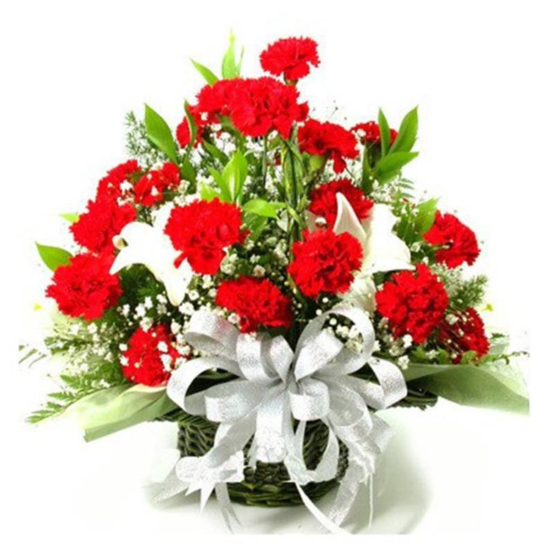 花袭人 鲜花速递全国 33朵康乃馨鲜花祝福花篮 教师节花束 感恩节花束上海广州南京武汉同城送花 26红康+6百合【报价、价格、评测、参数】_鲜花速递_苏宁易购