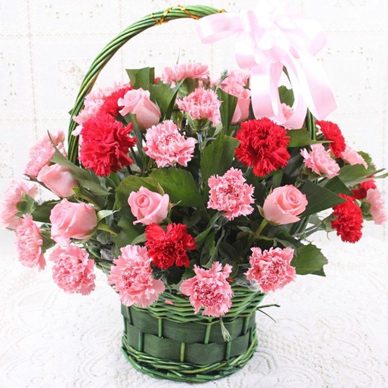 袭人 鲜花速递全国 33朵康乃馨鲜花祝福花篮 教