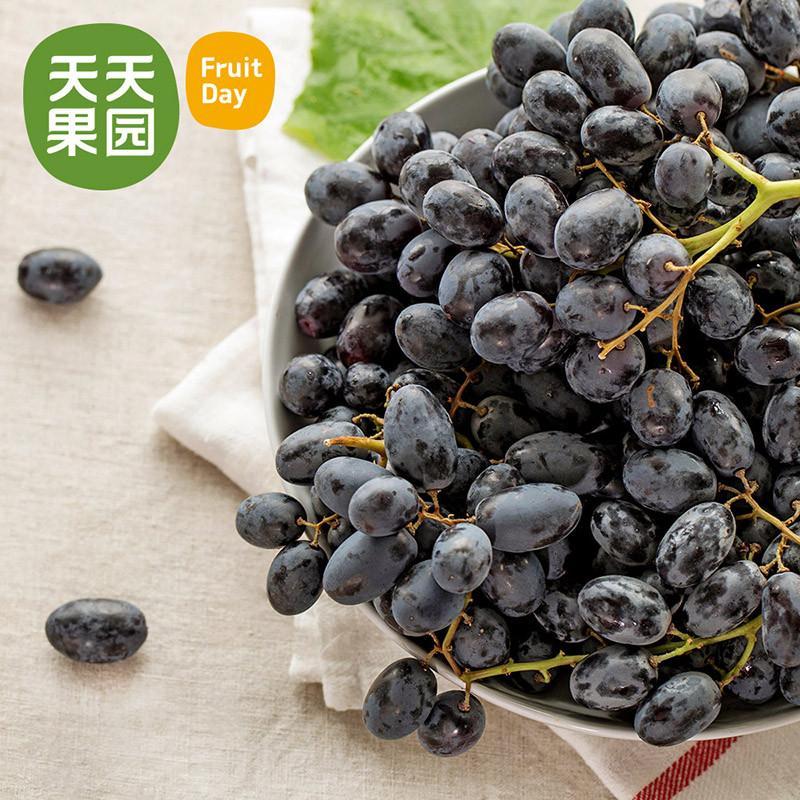 【天天果园食品】【天天果园】美国无籽黑提\/