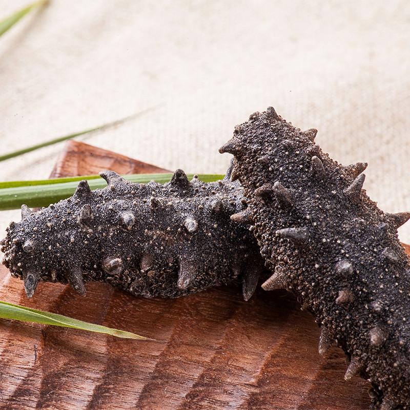 【獐子岛】【獐子岛】大连海参 淡干海参 速发 辽刺参 海参干货 参旅单只装【报价、价格、评测、参数】_【獐子岛】海鲜水产-苏宁易购