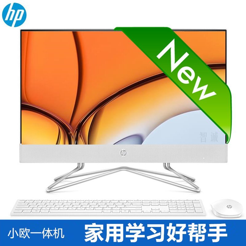 惠普(HP）小欧高清一体机电脑21.5英寸 J4025 16G 512GB