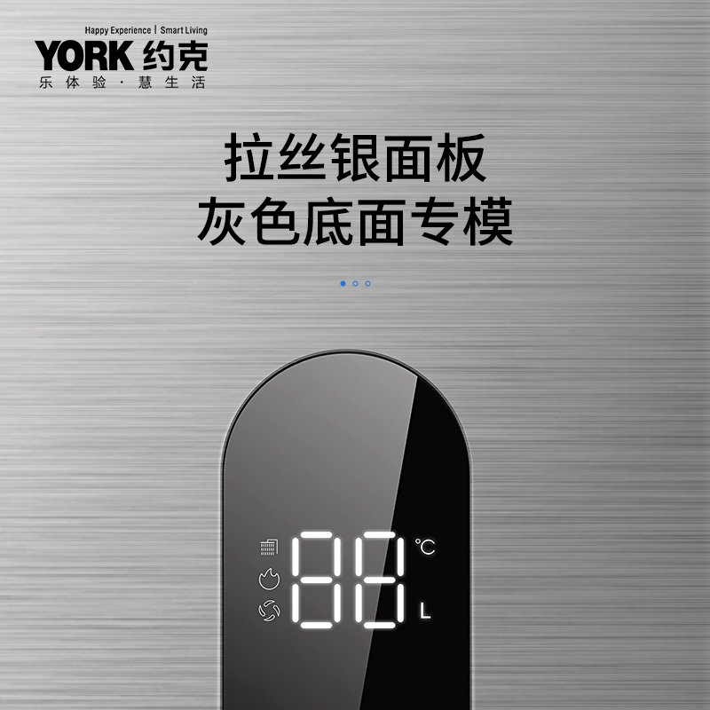 约克(YORK)燃气热水器JSQ25-13 YK-F11