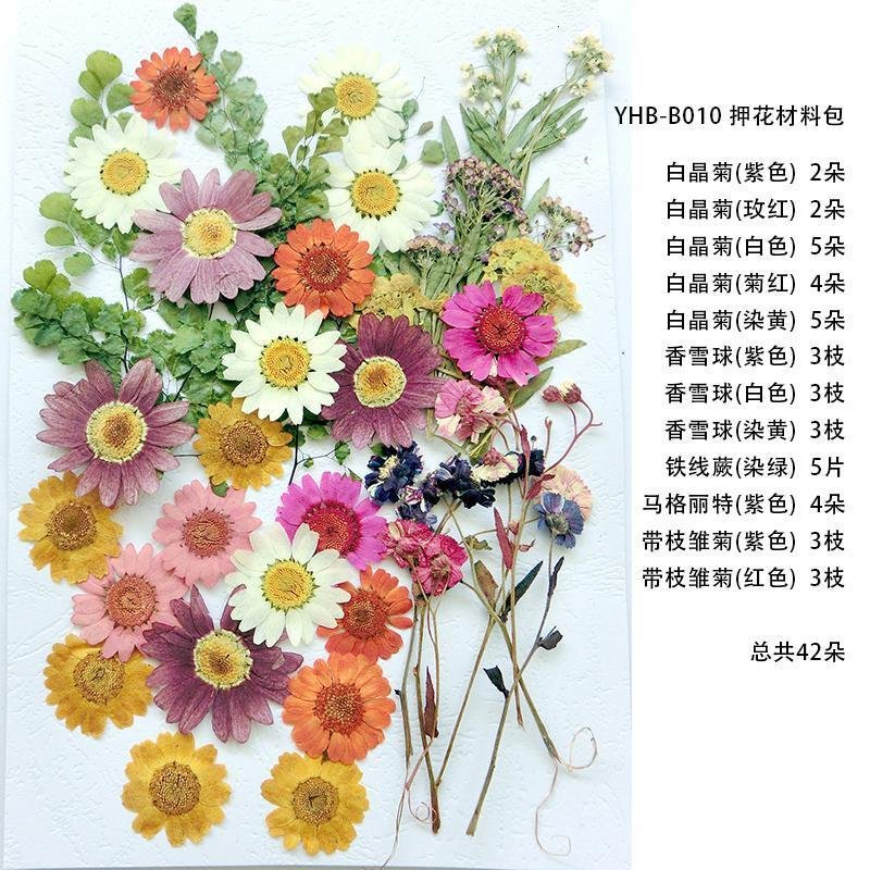 DIY押花材料包干花包手机壳diy压花装饰画材料组合包真干花_825