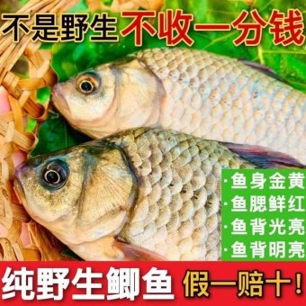 内存类型是DDR4的惠普笔记本电脑怎么样？