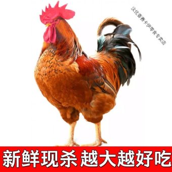 内存类型是DDR4的惠普笔记本电脑怎么样？