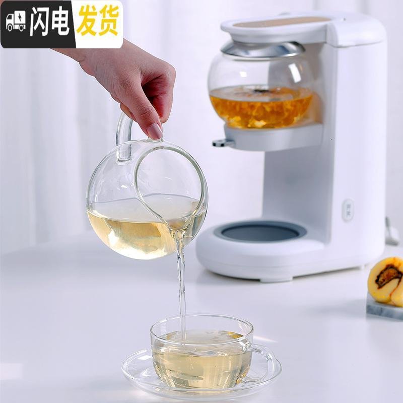 三维工匠加厚玻璃泡茶壶小型家用保温多功能煮茶壶过滤冲茶器自动养生壶_382