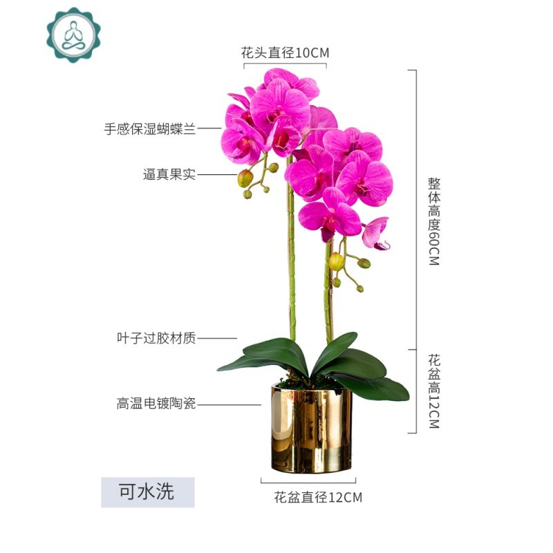 北欧仿真花塑料蝴蝶兰植物假花盆栽绿植客厅装饰卧室陶瓷摆设摆件 封后 2支深粉蝴蝶兰直筒套装_551