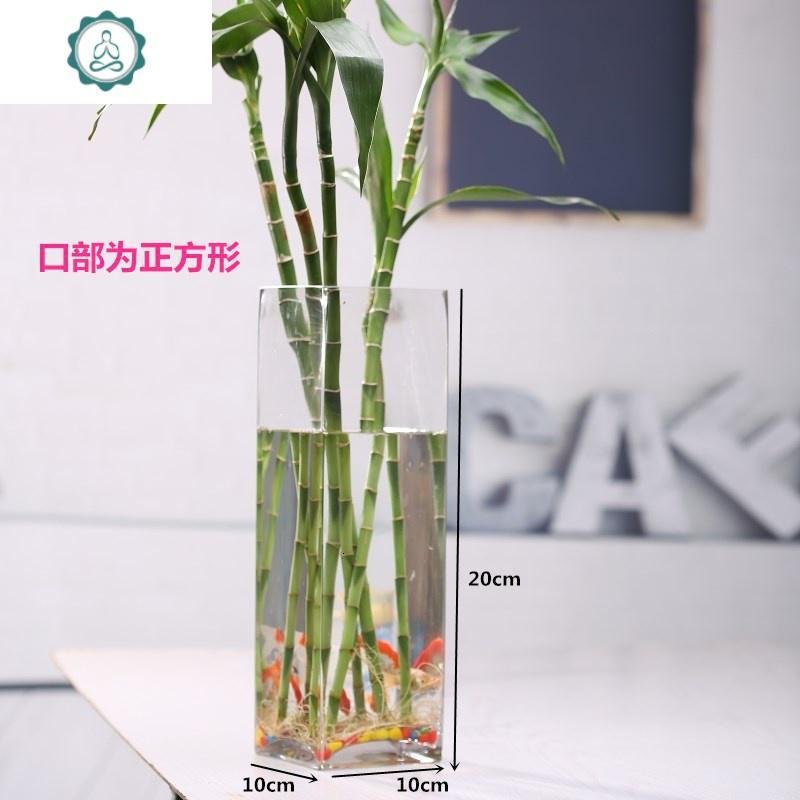 方形水培鲜花百合欧式创意玻璃花瓶透明玻璃花瓶客厅装饰插花摆件 封后 口10底10高20_651