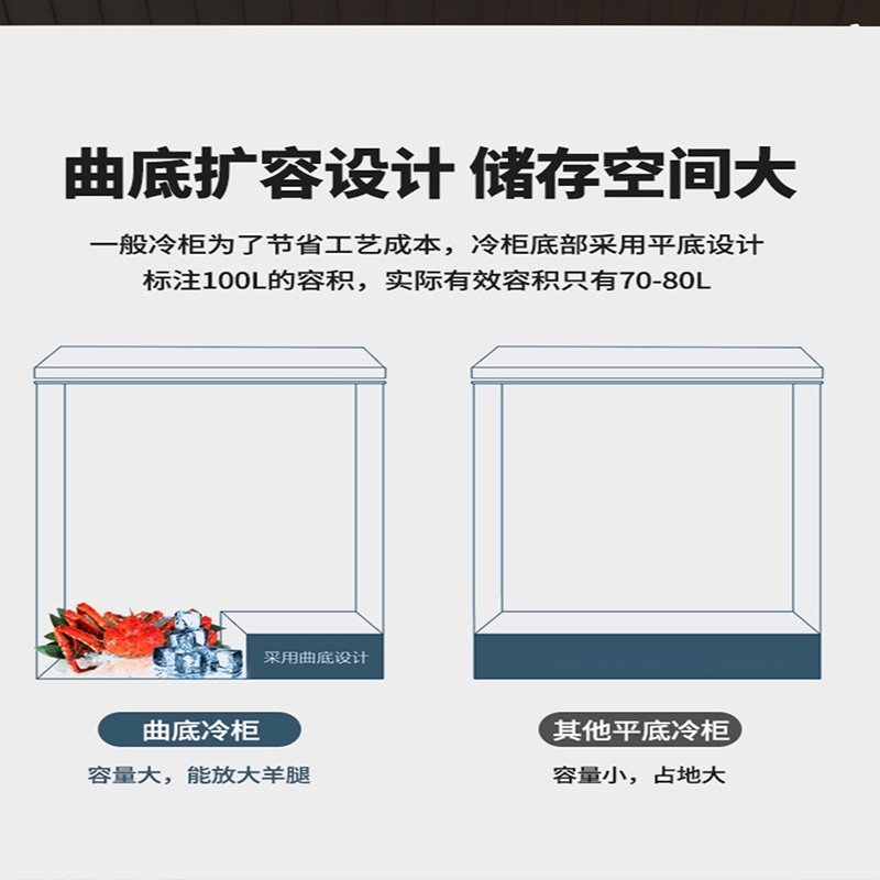 洛滑小冰柜家用冷冻小型冰柜保鲜冷冻两用冷柜家用双温冰柜(sXY)_5