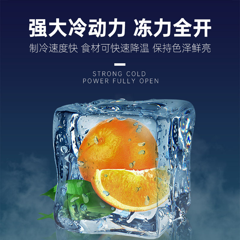 妮雪1888双压缩机单温商用冰柜卧式冰箱冷藏冷冻节能大容量雪糕展示柜