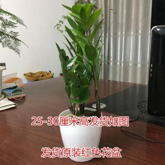 内存类型是DDR4的惠普笔记本电脑怎么样？