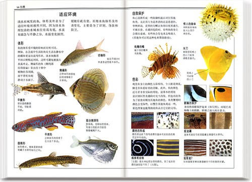 观赏鱼·DK自然珍藏图鉴丛书【报价、价格、