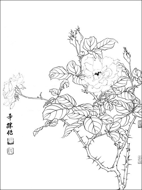 毕彰老师讲国画--工笔花卉白描技法