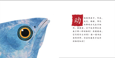 启发绘本:这样的尾巴可以做什么(精),(美)詹金斯