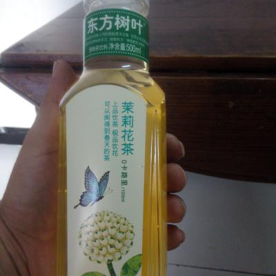 东方树叶茉莉花茶500ml瓶装