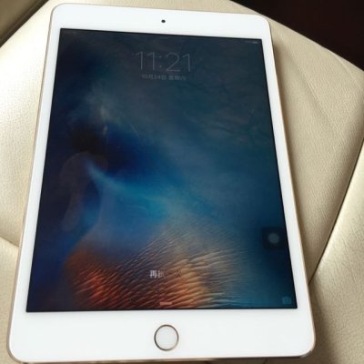 Apple iPad mini4 MK9J2CH\/A 64G 金色怎么样