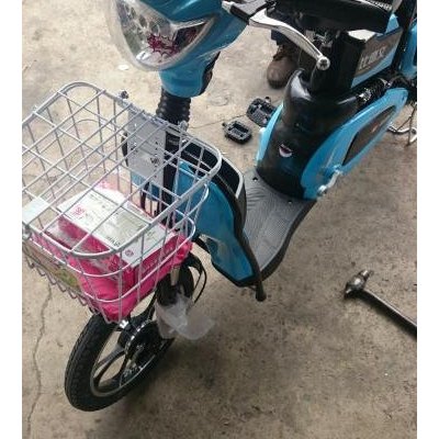 比德文电动车 家用标准电动自行车脚踏车助力车双人代步车48v电瓶车