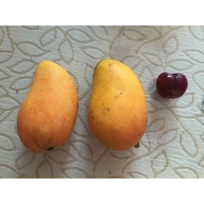 【云兮果乐】海南小台农芒果 2斤装 皮薄核小