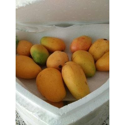 【云兮果乐】海南小台农芒果 2斤装 皮薄核小