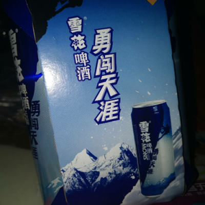 雪花啤酒 勇闯天涯拉罐500ml*24罐/箱