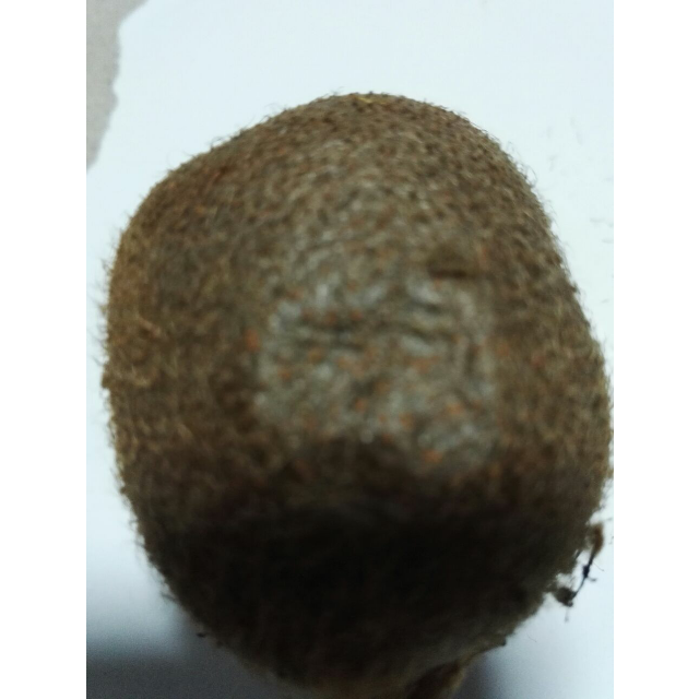 猕猴桃 新鲜水果 绿心 奇异果 5斤 顺丰商品评价 > 有一烂果和一坏果