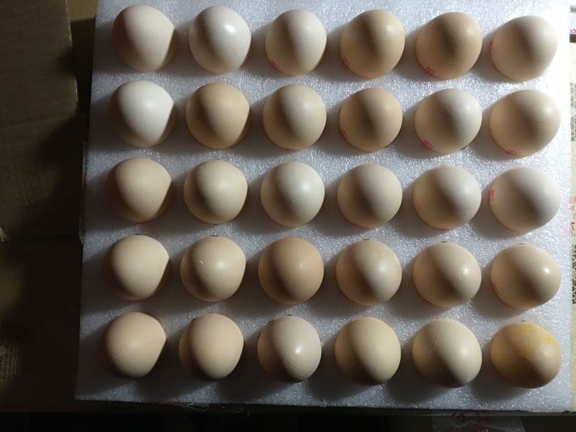 鲜鸡蛋怎么样_鲜鸡蛋好不好_鲜鸡蛋价格,评价,图片