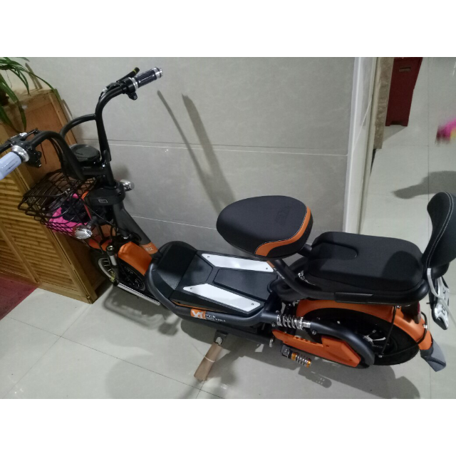 电动车电动滑板车比德文电动车48v电瓶车大踏板车长续航 大功率智能