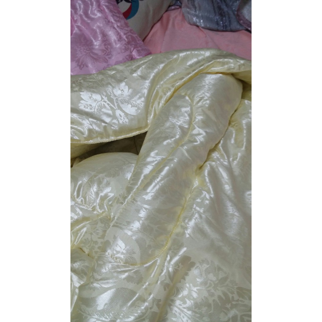 米黄色 200x230cm冬被8斤蚕丝被桑蚕丝夏凉被空调被子
