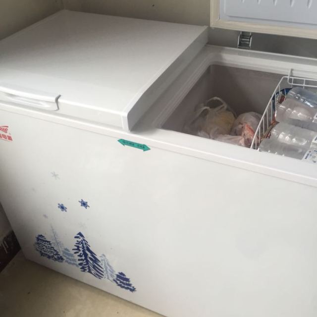 白雪bdx-223ds 223升白雪冰柜家用商用卧式双温柜冷冻储藏箱