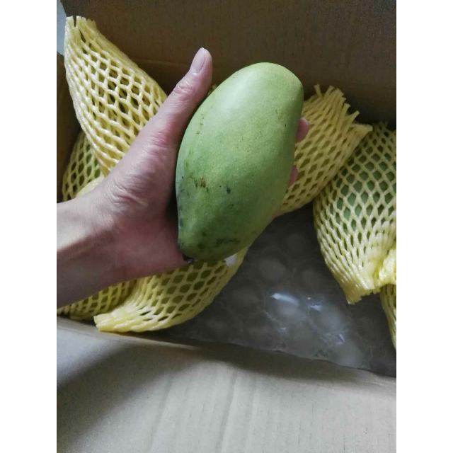 青芒5斤 单果230-400g 进口新鲜芒果商品评价 > 一共十个,没有坏的!