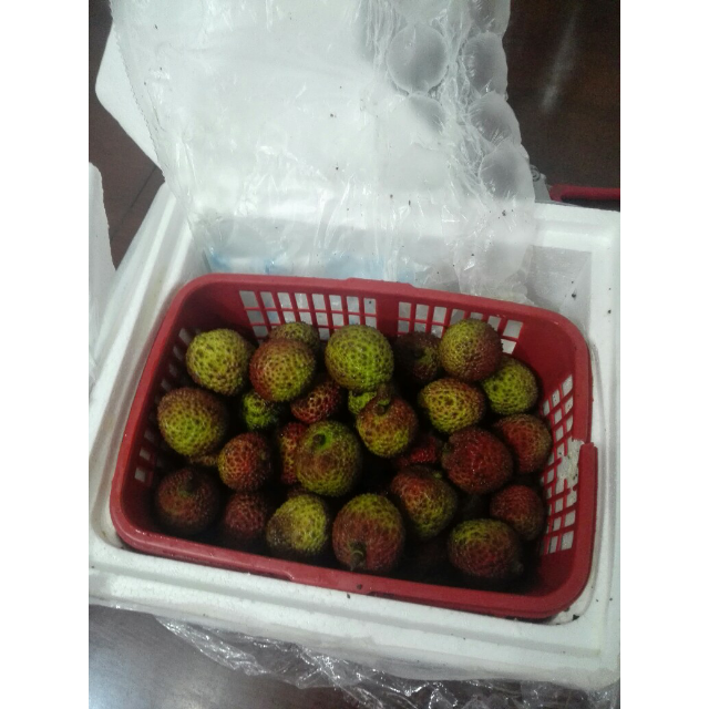 发货)海南妃子笑荔枝3斤装 顺丰包邮商品评价 > 包装很好,还有冰袋
