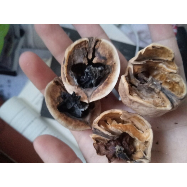 > 【山西兴县】吕梁 山核桃500g散装野生原味商品评价 > 打开三个坏三