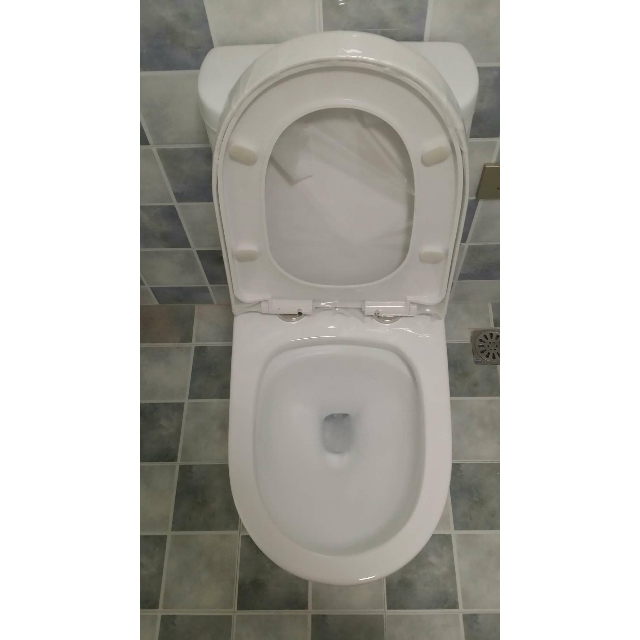 节水坐便器超漩虹吸排污舒洁釉面陶瓷座便器(白鲸款可接智能马桶盖)