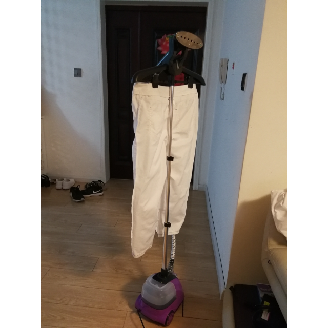 扬子sc-288手持挂烫机家用迷你烫衣服立式蒸汽熨烫机单杆手持电熨斗小