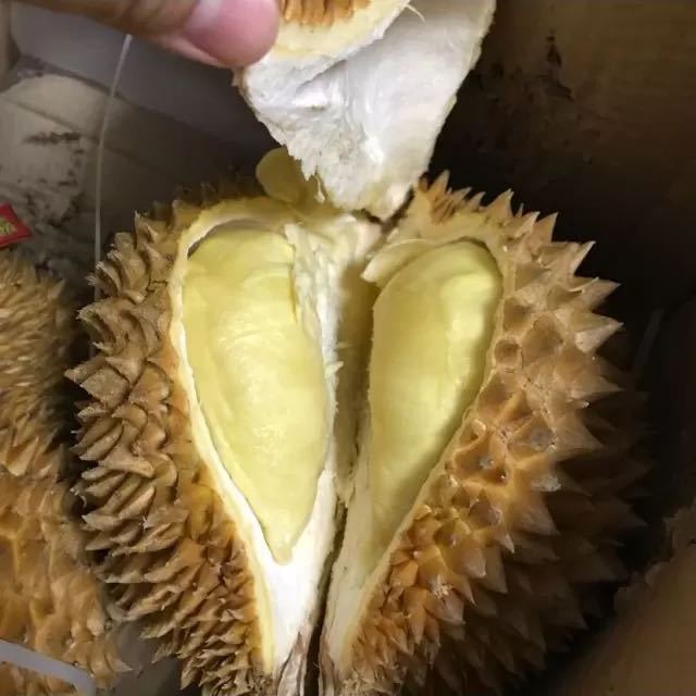 > 【苏宁生鲜】泰国金枕头榴莲9-10斤(约1-2个)新 新鲜水果 进口商品